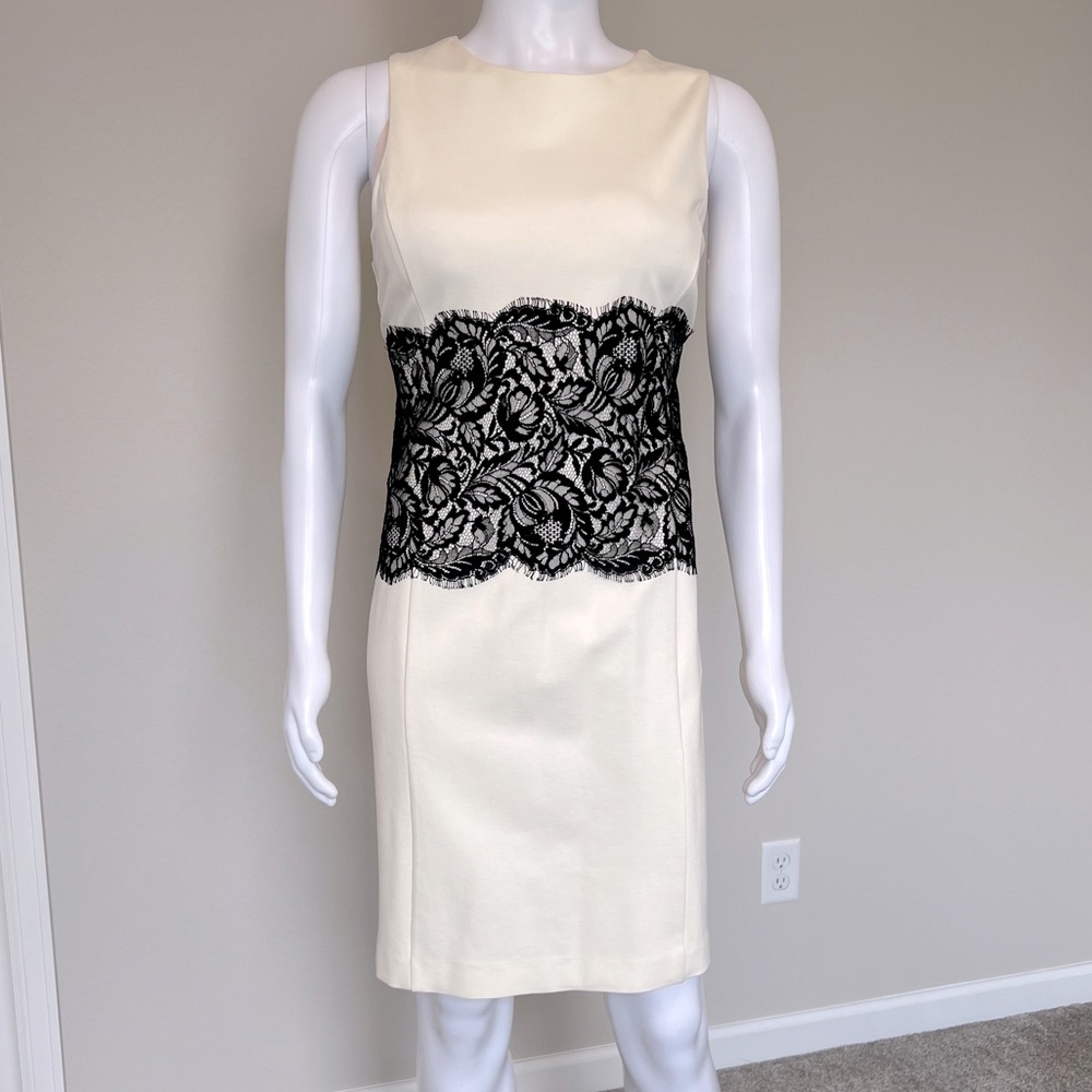 Sleeveless Sheath Dress w/Floral Lace Center Panel